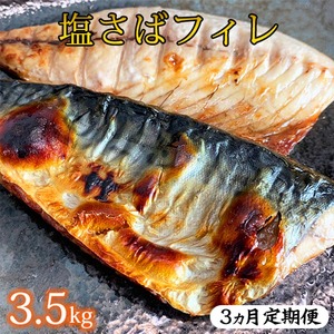 〈毎月定期便〉【ご家庭用 訳あり】塩さばフィレ3.5kg 全3回
