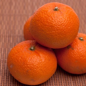 ＜2月より発送＞厳選 津之輝1kg+250g（傷み補償分）｜つのかがやき【光センサー選別】 ｜ 柑橘 フルーツ 果物 濃厚 春 旬 和歌山 先行予約 選べる 国産 産地直送 春柑橘 美浜町　※北海道・沖縄・離島への配送不可 ※2026年2月上旬～4月中旬頃に順次発送予定