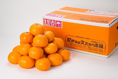 伊予柑（いよかん）［約5kg］和歌山県有田産 春みかん【果実サイズおまかせ】 ｜ 和歌山県産 柑橘 フルーツ 紀伊国屋文左衛門本舗