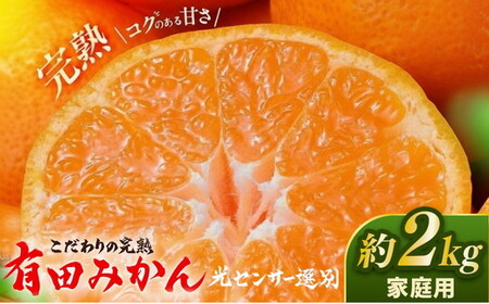 こだわりの完熟 有田みかん 2kg ｜ みかん みかん みかん みかん みかん ※2025年11月中旬～2026年1月上旬頃に順次発送予定 ※北海道・沖縄・離島への配送不可