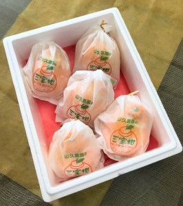 まるごと! 三宝柑シャーベット ※北海道・沖縄・離島への配送不可