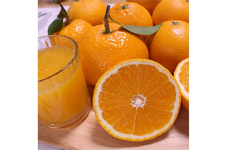 和歌山県有田産 完熟清見オレンジ 5kg（M～2Lサイズおまかせ）ひとつひとつ丁寧に厳選！生産者から直送 ※2026年3月中旬頃より順次発送予定