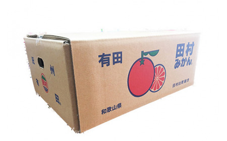 【先行予約】高級ブランド田村みかん ５kg◇ ｜みかん ミカン 蜜柑 フルーツ みかん ふるーつ みかん 果物 みかん くだもの みかん 和歌山 みかん｜ 蜜柑 柑橘 果物 フルーツ 糖度 甘い 濃厚 コク ジューシー 先行予約 国産 産地直送 人気 美浜町