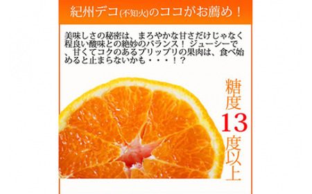 果肉プリプリ♪　完熟紀州デコ(不知火) 約5kg｜柑橘 不知火 デコポン みかん フルーツ 果物 旬 先行予約 でこぽん 国産 産地直送 完熟 一級品  美浜町 ※2026年2月下旬～3月下旬頃に順次発送予定