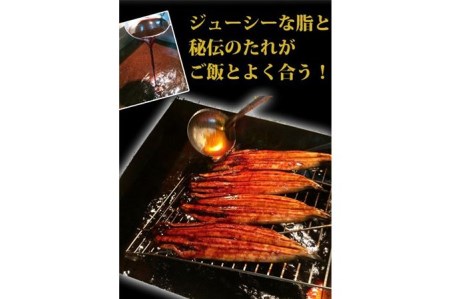 大型サイズ ふっくら柔らか国産うなぎ蒲焼き 3尾◇｜うなぎ