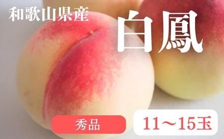 和歌山県産 白鳳 桃 11～15玉入り 秀品 先行予約 | 和歌山県 白鳳