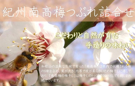 紀州南高梅つぶれ梅詰合せ