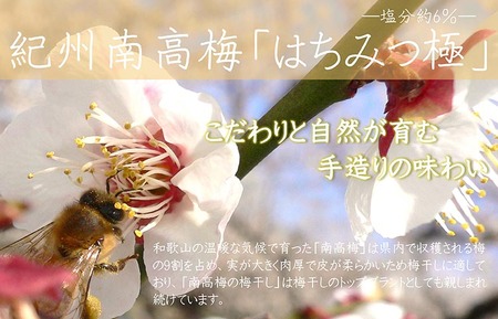 【定期便/2か月ごと/全5回】紀州南高梅はちみつ極塩分約6％（850g）