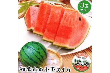 【大人気】【和歌山県産】厳選!小玉すいか『ひとりじめ7(セブン)』 Mサイズ/3玉入り※北海道・沖縄地域へのお届け不可【紀州美浜マルシェ】