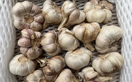 和歌山県産生にんにく約1kg ご家庭用 ※2026年5月上旬~5月中旬頃に順次発送予定