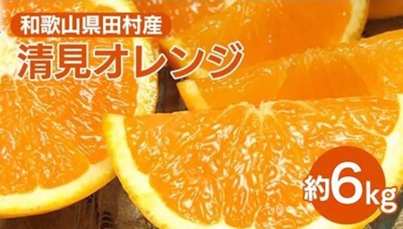 清見オレンジ[約6kg]和歌山県湯浅町田村産 春みかん【果実サイズおまかせ】｜和歌山県産 柑橘 フルーツ 紀伊国屋文左衛門本舗