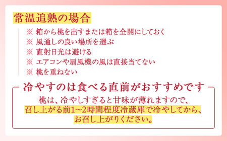 【産直・人気の特産品】和歌山の桃　約4kg・秀品｜ 桃 桃 桃 桃 桃 