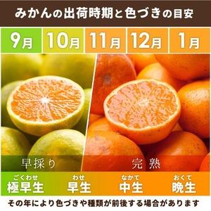 〈2026年1月より発送〉家庭用 蔵出しみかん 1kg+250g（傷み補償分）【有田の蔵出しみかん】【光センサー選果】◇※北海道・沖縄・離島への配送不可 ※2026年1月中旬～2月下旬頃に順次発送予定