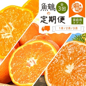 〈定期便〉【1・2・3月 全3回】紀州和歌山産旬のご家庭用柑橘セット(みかん・不知火・清見) ※離島への配送不可