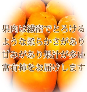 和歌山秋の味覚　富有柿　約7.5kg 　※2024年11月上旬～11月下旬頃に順次発送予定