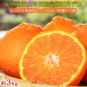 果肉プリプリ♪　完熟紀州デコ(不知火) 約3kg｜柑橘 不知火 デコポン みかん フルーツ 果物 旬 先行予約 でこぽん 国産 産地直送 完熟 一級品  美浜町 ※2026年2月下旬～3月下旬頃に順次発送予定