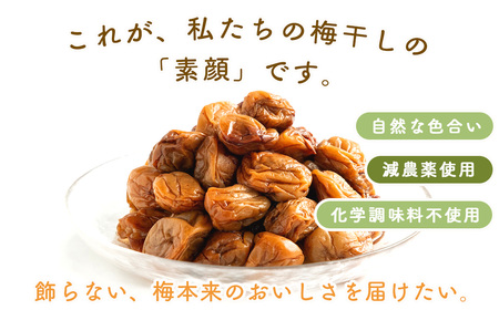 梅干し 無添加 訳あり はちみつ梅干1kg（500g×2） 紀州梅香 ◇  ｜ 梅干し