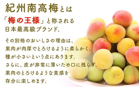 梅干し 無農薬、無添加の訳あり減塩つぶれ梅1kg（500g×2）塩分3％ ◇  ｜ 梅干し