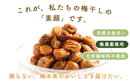 梅干し 無農薬、無添加の訳あり減塩つぶれ梅1kg（500g×2）塩分3％ ◇  ｜ 梅干し