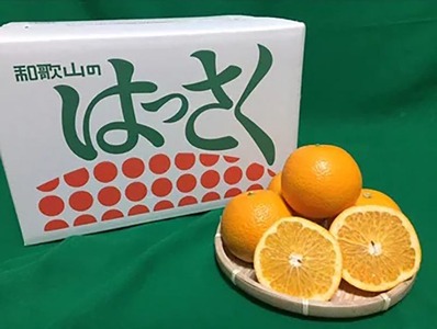 和歌山県産 八朔 6kg 家庭用 ※2026年1月上旬～3月下旬頃に順次発送予定