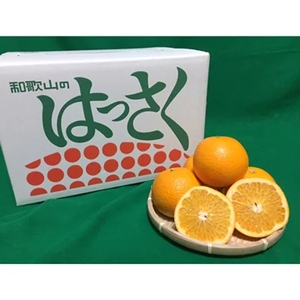 【まごころ手選別】有田の八朔(はっさく)約10kg(S~4Lサイズ混合)家庭用 ※2026年1月上旬~3月下旬頃に順次発送予定