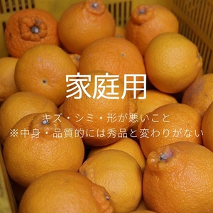 【まごころ手選別】和歌山産　有田の不知火(しらぬひ)約3kg(2S～4Lサイズ混合)【家庭用】 ※2026年2月上旬～4月下旬頃に順次発送予定