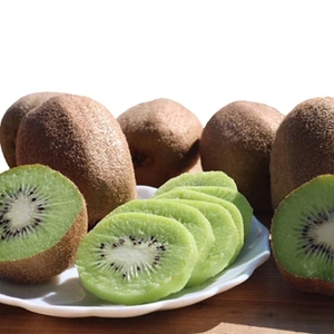 【まごころ手選別】和歌山産　キウイフルーツ　約1.2kg(サイズ混合)　秀品 ｜ キウイ