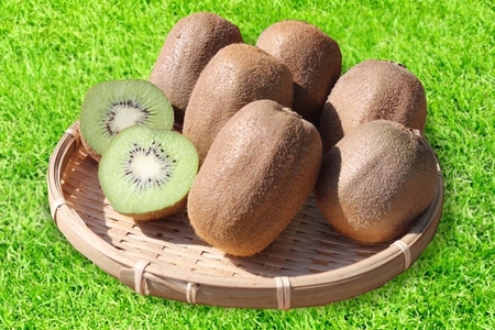 【まごころ手選別】和歌山産　キウイフルーツ　約3.6kg(サイズ混合)　秀品 ｜ キウイ