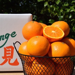 【まごころ手選別】和歌山産　有田の清見　約5kg(2S～3Lサイズ混合)【家庭用】 ※2026年3月上旬～4月下旬頃に順次発送予定