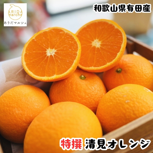 【先行予約】【春の美味】【農家直送】厳選!濃厚清見オレンジ 約5.1kg(5kg+100g(痛み補償分)) ※2026年2月下旬～3月下旬頃に順次発送予定 ※北海道・沖縄・離島への配送不可