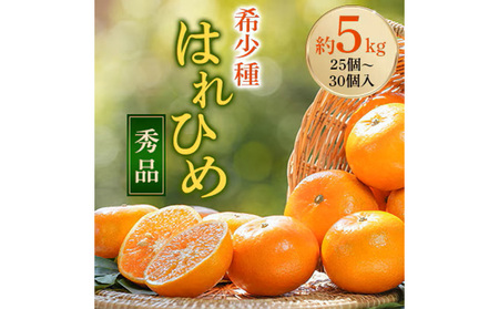 先行受付!　はれひめ(みかんの希少種)　秀品　25個～30個入　約5kg ※2025年12月中旬～2026年1月下旬頃より順次発送予定