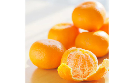 先行受付!　はれひめ(みかんの希少種)　秀品　25個～30個入　約5kg ※2025年12月中旬～2026年1月下旬頃より順次発送予定