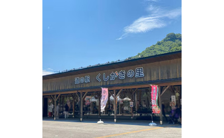 先行受付!　はれひめ(みかんの希少種)　秀品　25個～30個入　約5kg ※2025年12月中旬～2026年1月下旬頃より順次発送予定