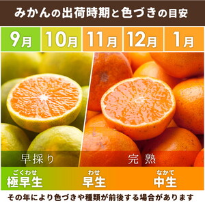 〈定期便〉【10・11・12月 全3回】家庭用 有田みかん定期便 2.5kg+250g(傷み補償分)※北海道・沖縄・離島への配送不可