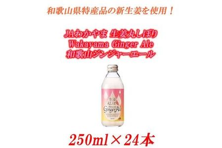 JAわかやま 生姜丸しぼり Wakayama Ginger Ale 和歌山ジンジャーエール 250ml×24本 【エバグリーン廣甚】