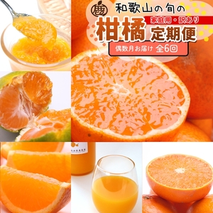 【定期便】家庭用 柑橘定期便 S 6回（偶数月）※北海道・沖縄・離島への配送不可※偶数月に発送