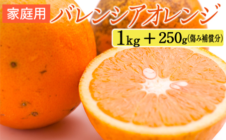 家庭用 バレンシアオレンジ1kg+250g（傷み補償分） | オレンジ 果物