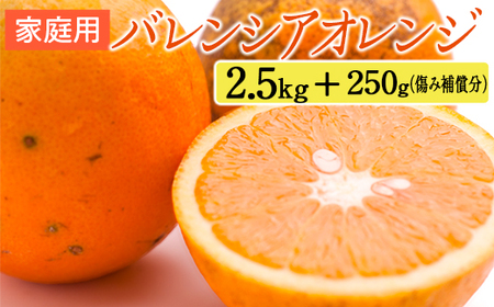 家庭用 バレンシアオレンジ2.5kg+250g(傷み補償分)
