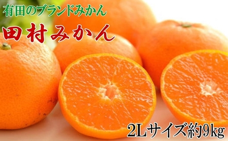 【有田のブランドみかん】田村みかん 大玉 約9kg (2Lサイズ) 6,930円