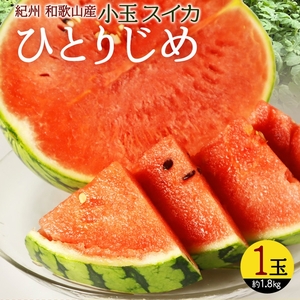 〈定期便〉【2・4・6・8・10・12月 全6回】紀州和歌山産旬のフルーツセット(不知火・清見・スイカ・桃・柿・みかん)