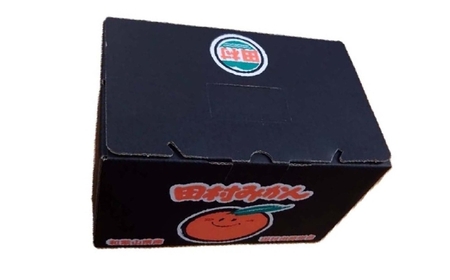 【ブランドみかん】田村みかん約3kg(S.M.Lサイズおまかせ・秀品)