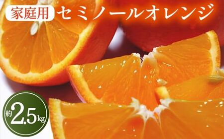 【先行予約】【春の美味】【農家直送】爽快カンキツ セミノールオレンジ（ご家庭用）約2.5kg  ｜ 柑橘 果物  フルーツ オレンジ セミノール｜柑橘 フルーツ 果物 くだもの 食品 人気 おすすめ 選べる 国産 美浜町