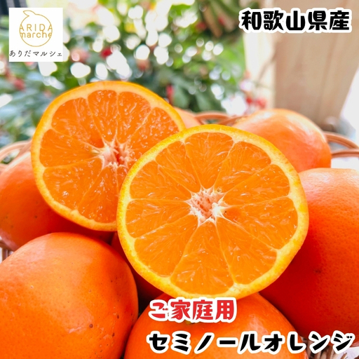 【先行予約】【春の美味】【農家直送】爽快カンキツ セミノールオレンジ（ご家庭用）約10kg  ｜ 柑橘 果物  フルーツ オレンジ セミノール｜柑橘 フルーツ 果物 くだもの 食品 人気 おすすめ 選べる 国産 美浜町