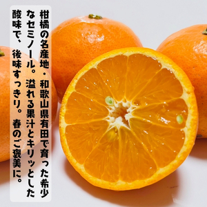 【特撰】セミノール 1kg ｜ みかん 高級 くだもの 晩柑 柑橘 和歌山
