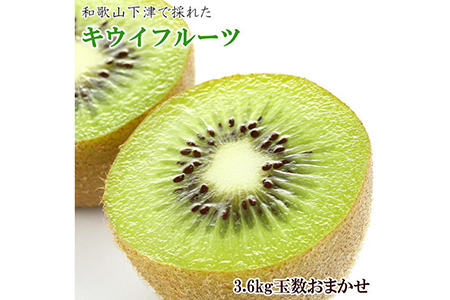 和歌山の下津で採れたキウイフルーツ約3.6kg（玉数おまかせ・秀品） ※2025年1月上旬～3月上旬頃に順次発送予定