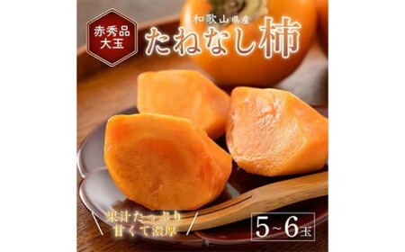 先行受付!　柿　種無し　赤秀品　大玉　5～6個　約2kg