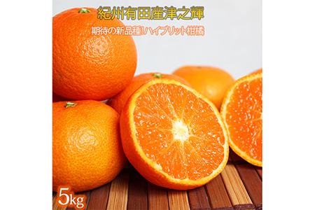 津之輝(つのかがやき) 5kg ※2026年2月上旬?2月下旬頃に順次発送予定