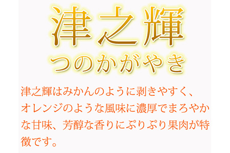 津之輝(つのかがやき) 5kg ※2026年2月上旬?2月下旬頃に順次発送予定
