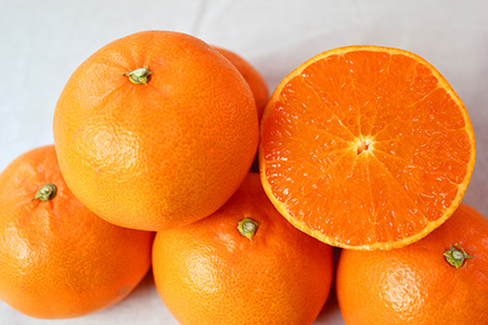 とろける食感!ジューシー柑橘 せとか 約3kg ※2025年2月下旬〜3月中旬頃に順次発送予定 ※着日指定不可