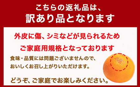 ＜1月より発送＞家庭用 はっさく2.5kg+250g（傷み補償分） ｜ 八朔みかん わけあり 訳あり ワケアリ ※2026年1月上旬～3月下旬頃に順次発送予定 ※北海道・沖縄・離島への配送不可 ◇